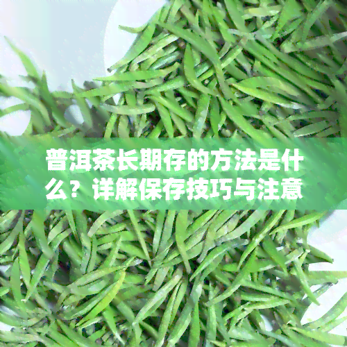 普洱茶长期存的方法是什么？详解保存技巧与注意事