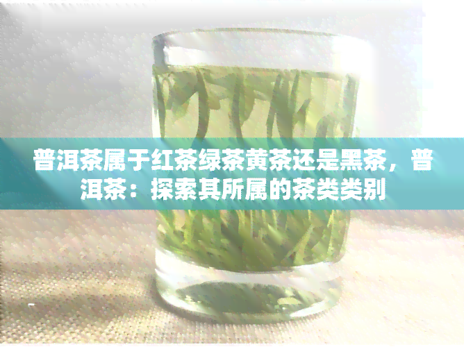 普洱茶属于红茶绿茶黄茶还是黑茶，普洱茶：探索其所属的茶类类别