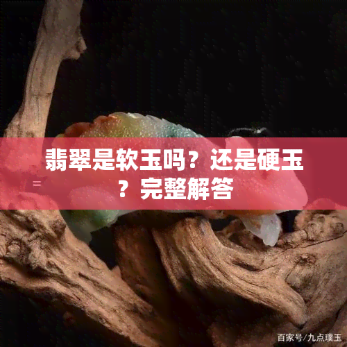 翡翠是软玉吗？还是硬玉？完整解答