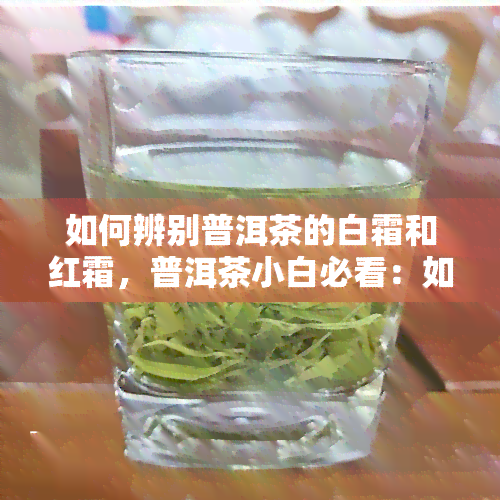 如何辨别普洱茶的白霜和红霜，普洱茶小白必看：如何区分白霜和红霜？