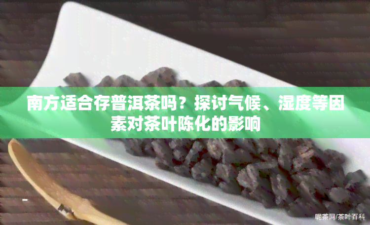 南方适合存普洱茶吗？探讨气候、湿度等因素对茶叶陈化的影响