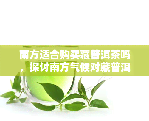 南方适合购买藏普洱茶吗，探讨南方气候对藏普洱茶的适宜性