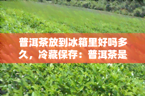 普洱茶放到冰箱里好吗多久，冷藏保存：普洱茶是否适合放入冰箱？时长又是多少呢？