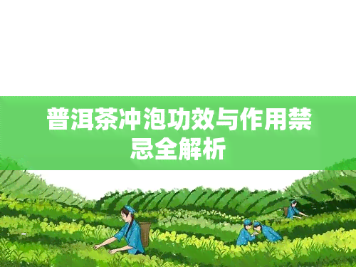 普洱茶冲泡功效与作用禁忌全解析