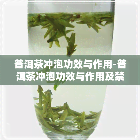 普洱茶冲泡功效与作用-普洱茶冲泡功效与作用及禁忌