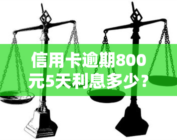 信用卡逾期800元5天利息多少？请看详细解答