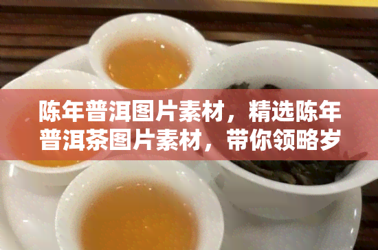 陈年普洱图片素材，精选陈年普洱茶图片素材，带你领略岁月沉淀的韵味