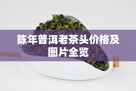 陈年普洱老茶头价格及图片全览