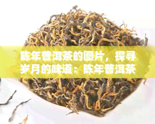 陈年普洱茶的图片，探寻岁月的味道：陈年普洱茶的魅力与美感