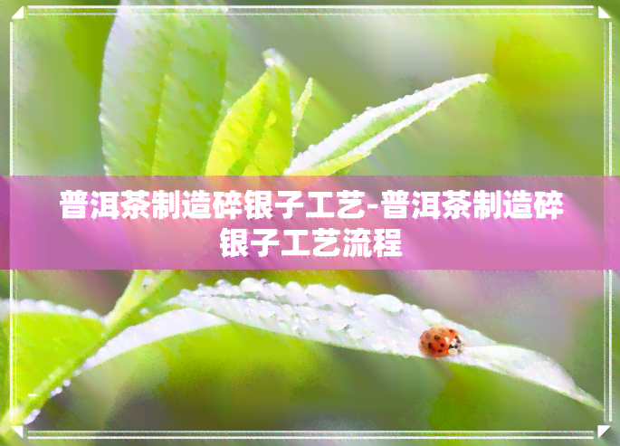 普洱茶制造碎银子工艺-普洱茶制造碎银子工艺流程