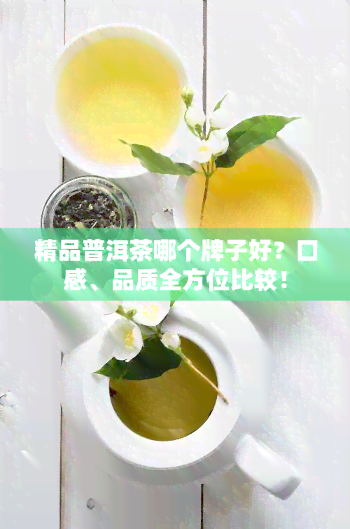 精品普洱茶哪个牌子好？口感、品质全方位比较！