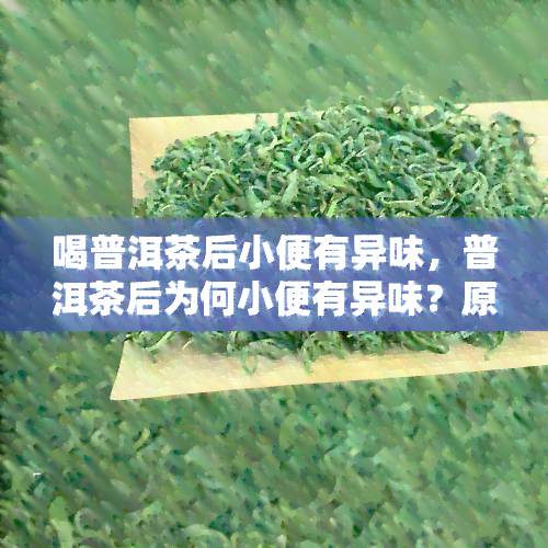 喝普洱茶后小便有异味，普洱茶后为何小便有异味？原因解析