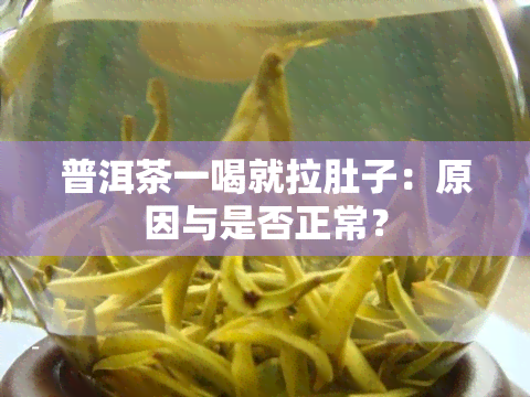 普洱茶一喝就拉肚子：原因与是否正常？