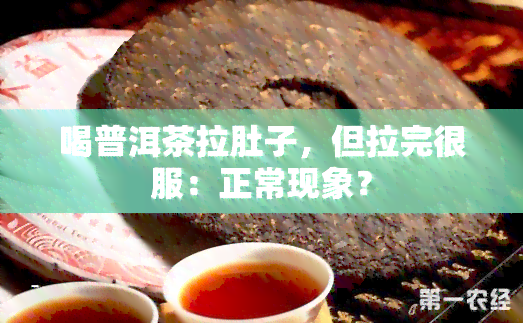 喝普洱茶拉肚子，但拉完很服：正常现象？