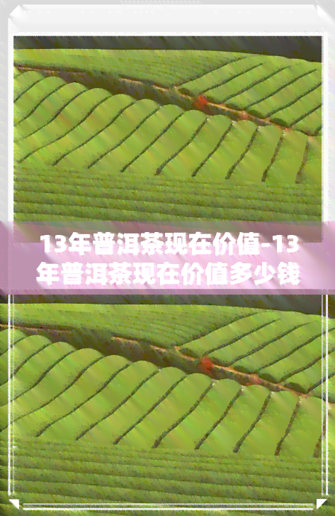 13年普洱茶现在价值-13年普洱茶现在价值多少钱