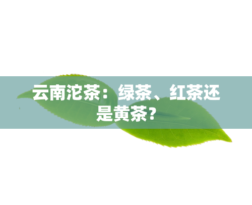 云南沱茶：绿茶、红茶还是黄茶？