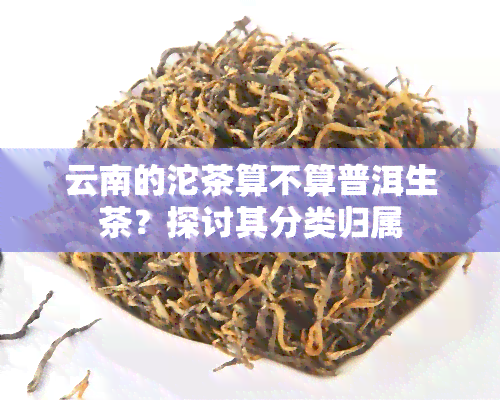 云南的沱茶算不算普洱生茶？探讨其分类归属