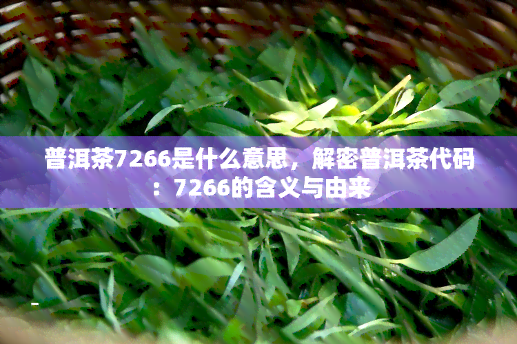 普洱茶7266是什么意思，解密普洱茶代码：7266的含义与由来