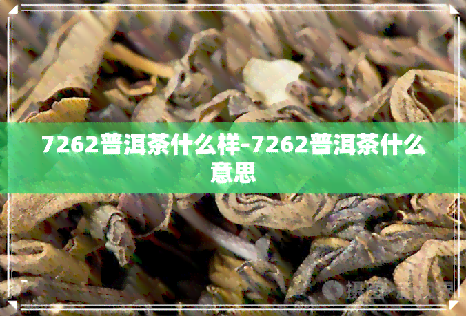 7262普洱茶什么样-7262普洱茶什么意思