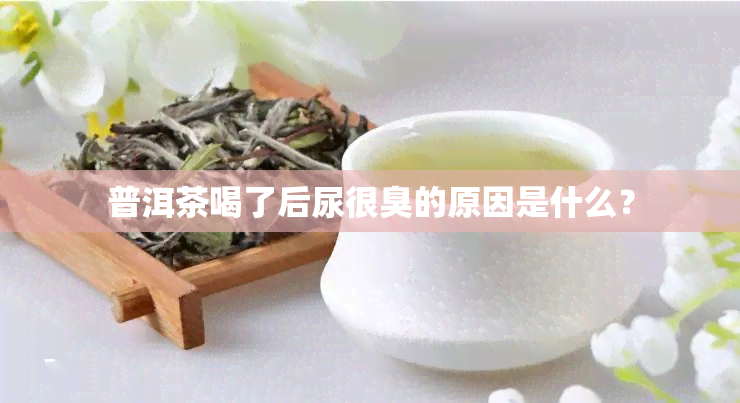 普洱茶喝了后尿很臭的原因是什么？