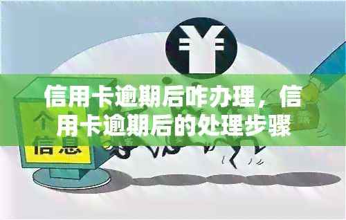 信用卡逾期后咋办理，信用卡逾期后的处理步骤