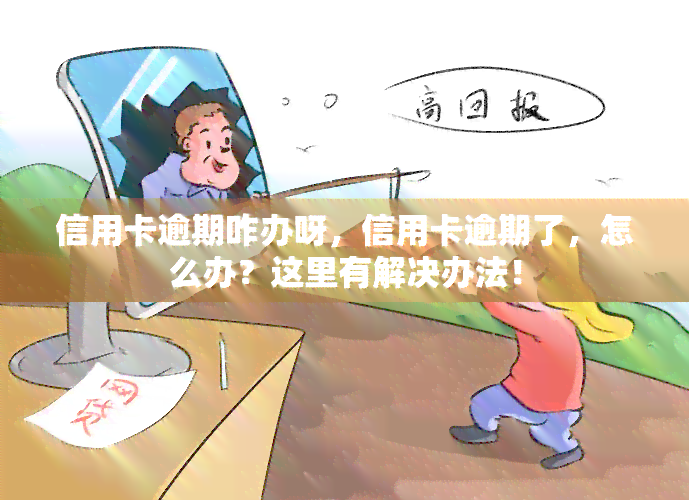 信用卡逾期咋办呀，信用卡逾期了，怎么办？这里有解决办法！