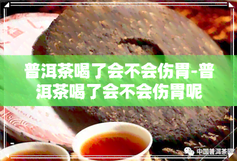 普洱茶喝了会不会伤胃-普洱茶喝了会不会伤胃呢