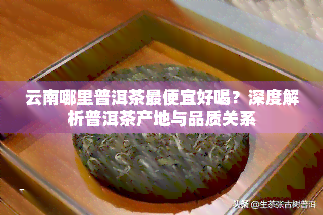 云南哪里普洱茶更便宜好喝？深度解析普洱茶产地与品质关系