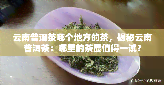 云南普洱茶哪个地方的茶，揭秘云南普洱茶：哪里的茶最值得一试？