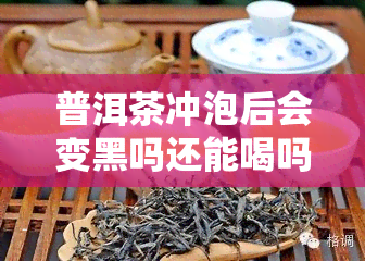 普洱茶冲泡后会变黑吗还能喝吗，普洱茶冲泡后为何会变黑？是否仍能饮用？