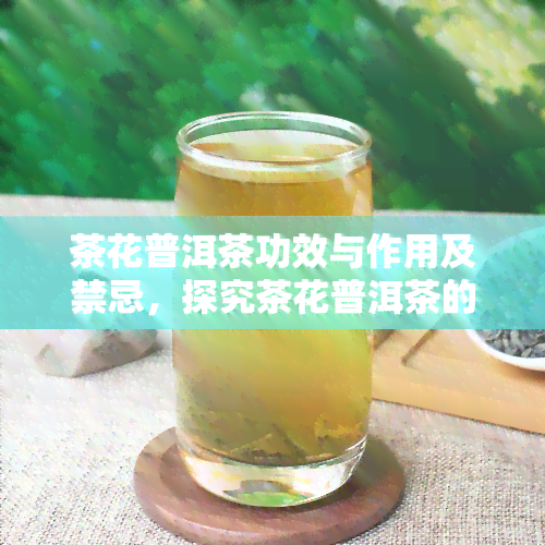 茶花普洱茶功效与作用及禁忌，探究茶花普洱茶的神奇功效、作用以及使用禁忌！