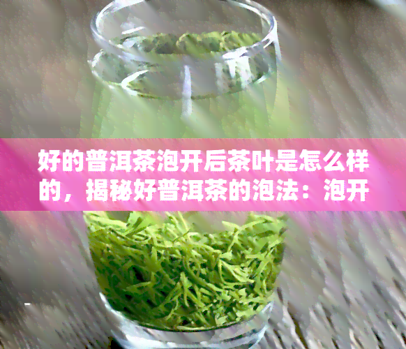 好的普洱茶泡开后茶叶是怎么样的，揭秘好普洱茶的泡法：泡开后的茶叶形态是什么样的？