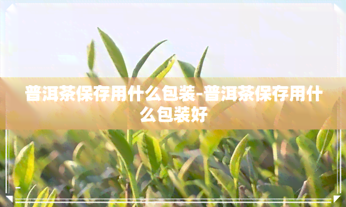 普洱茶保存用什么包装-普洱茶保存用什么包装好