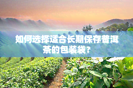 如何选择适合长期保存普洱茶的包装袋？