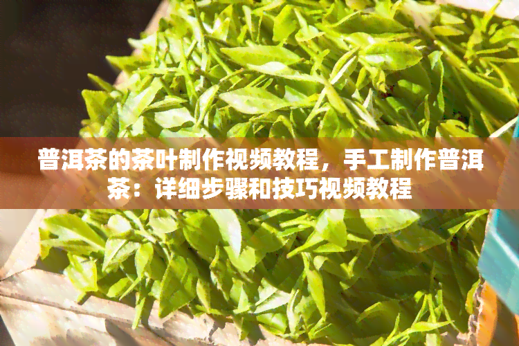 普洱茶的茶叶制作视频教程，手工制作普洱茶：详细步骤和技巧视频教程