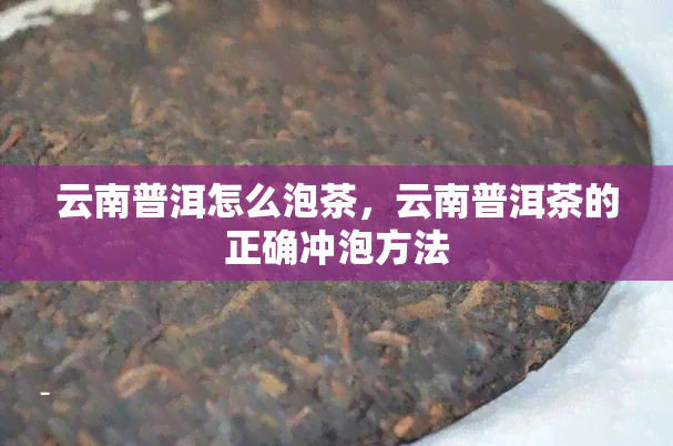 云南普洱怎么泡茶，云南普洱茶的正确冲泡方法