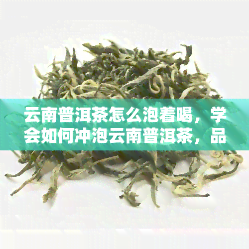 云南普洱茶怎么泡着喝，学会如何冲泡云南普洱茶，品味独特的茶香