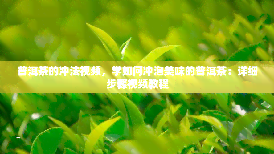 普洱茶的冲法视频，学如何冲泡美味的普洱茶：详细步骤视频教程