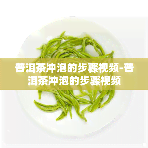 普洱茶冲泡的步骤视频-普洱茶冲泡的步骤视频