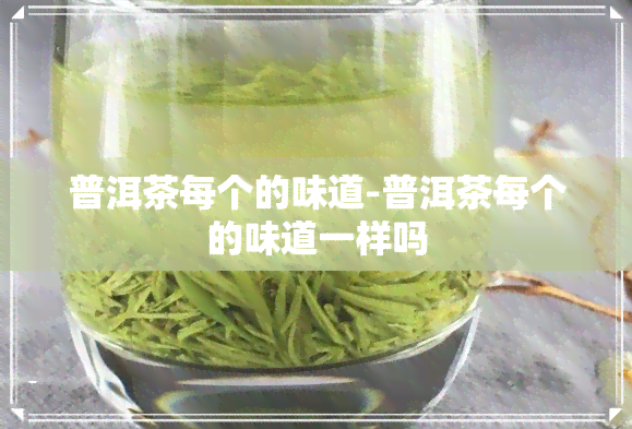 普洱茶每个的味道-普洱茶每个的味道一样吗