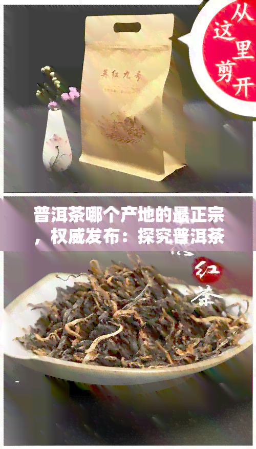 普洱茶哪个产地的最正宗，权威发布：探究普洱茶产地，哪一种最正宗？