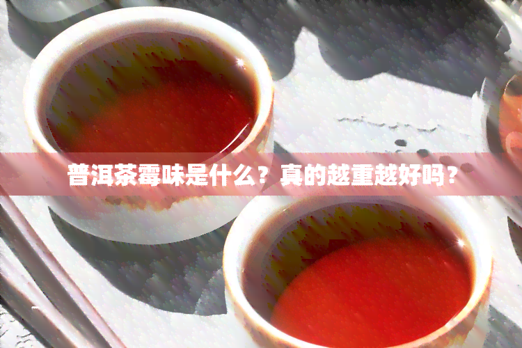 普洱茶霉味是什么？真的越重越好吗？