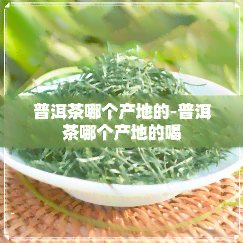 普洱茶哪个产地的-普洱茶哪个产地的喝