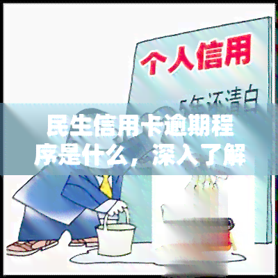 民生信用卡逾期程序是什么，深入了解民生信用卡逾期处理流程