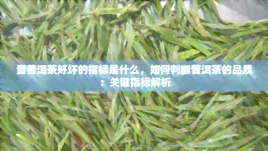 量普洱茶好坏的指标是什么，如何判断普洱茶的品质：关键指标解析