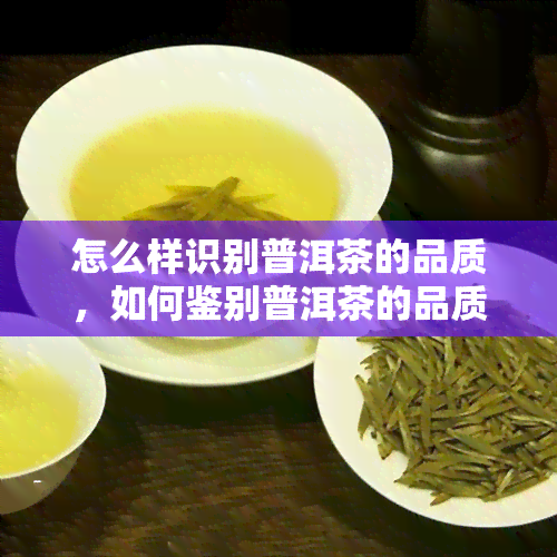 怎么样识别普洱茶的品质，如何鉴别普洱茶的品质：实用指南