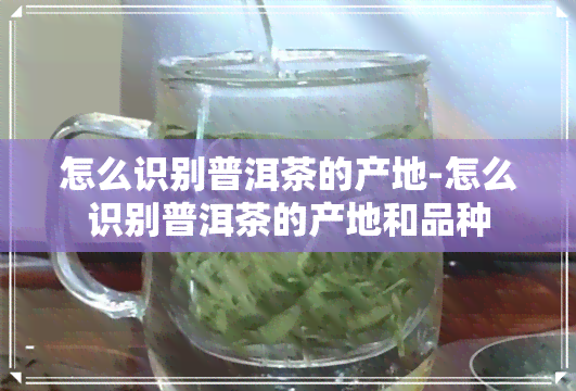 怎么识别普洱茶的产地-怎么识别普洱茶的产地和品种