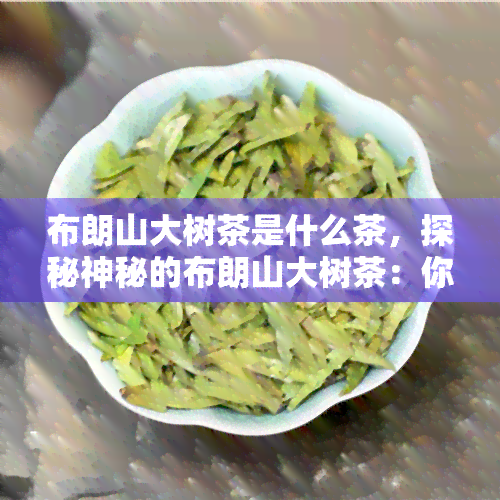 布朗山大树茶是什么茶，探秘神秘的布朗山大树茶：你不可错过的茶叶品种！