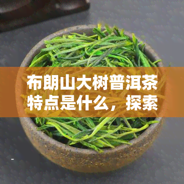 布朗山大树普洱茶特点是什么，探索布朗山大树普洱茶的独特特点