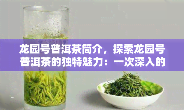 龙园号普洱茶简介，探索龙园号普洱茶的独特魅力：一次深入的介绍与解析